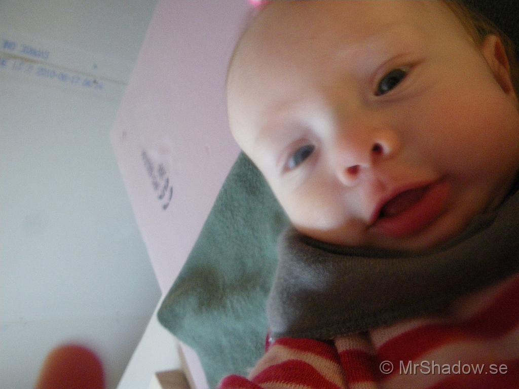 IMGP5762.JPG
