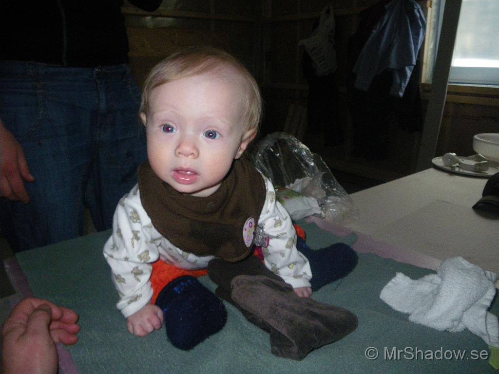 IMGP5783.JPG