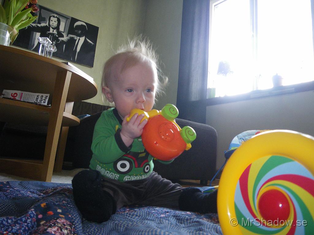 IMGP5920.JPG