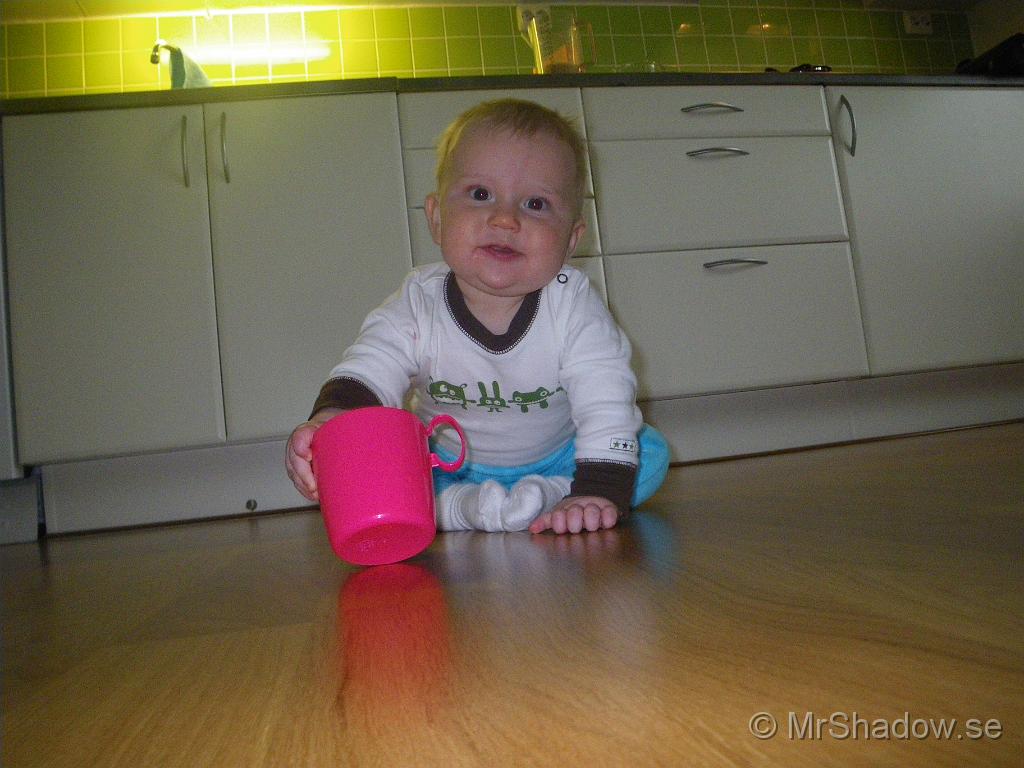 IMGP5987.JPG