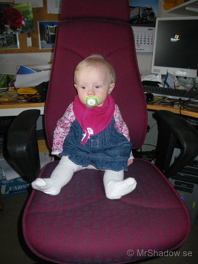 IMGP6081.JPG