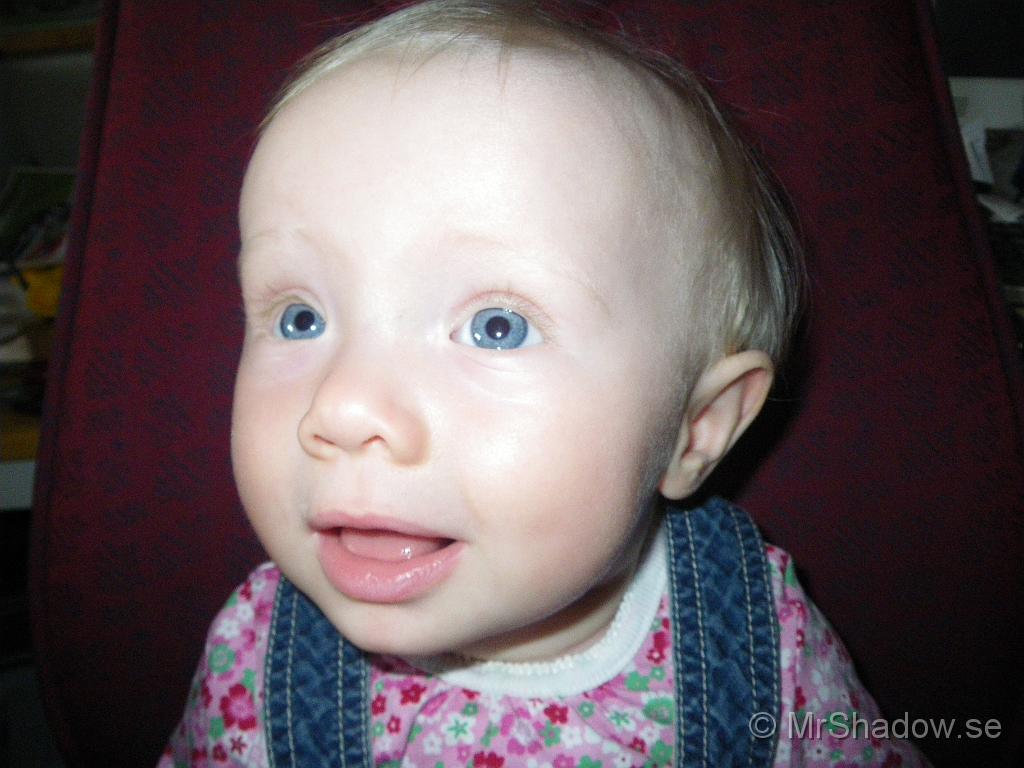 IMGP6086.JPG