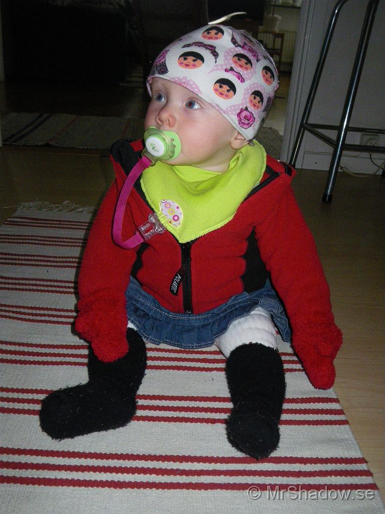 IMGP6091.JPG