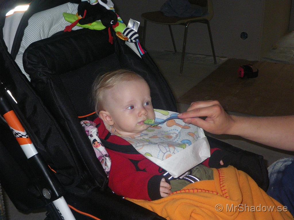 IMGP6151.JPG