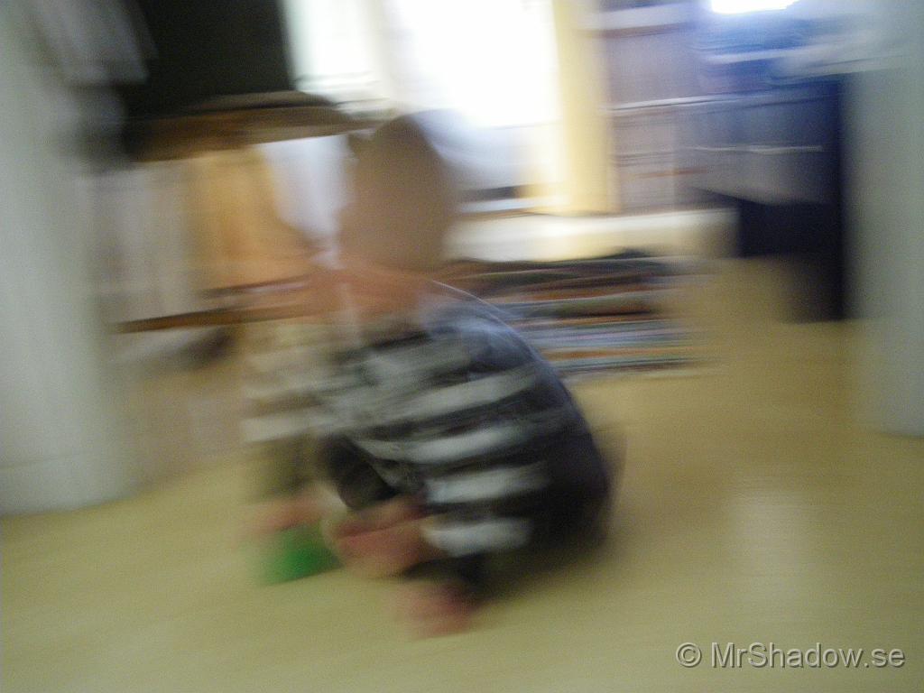 IMGP6177.JPG