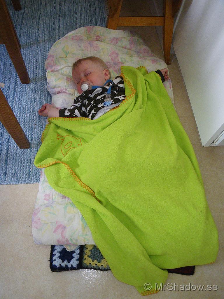 IMGP6181.JPG