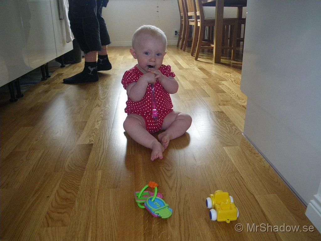 IMGP6946.JPG