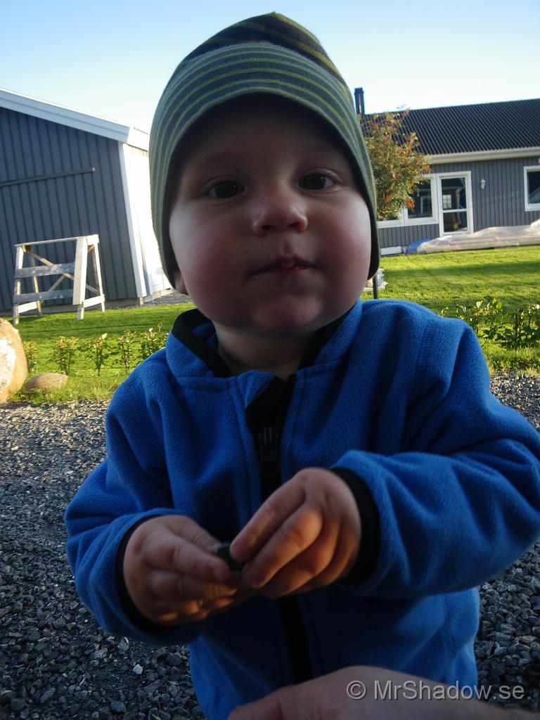 IMGP7425.jpg