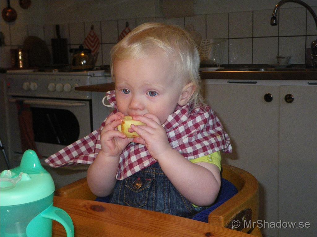 IMGP7624.JPG