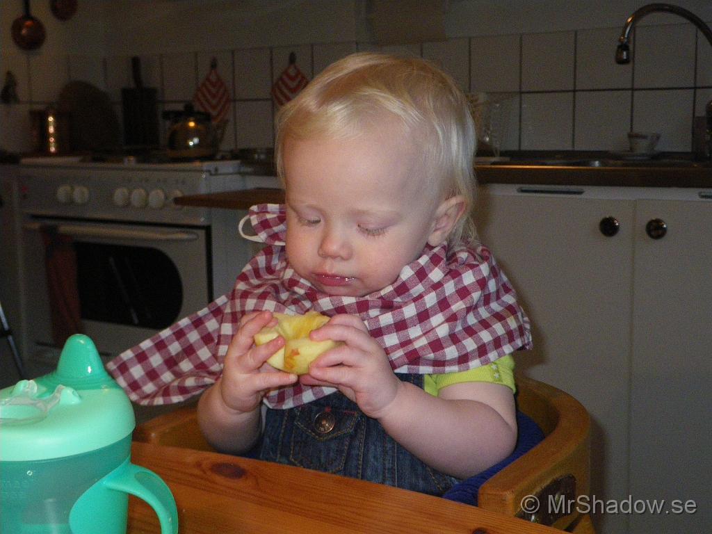 IMGP7625.JPG
