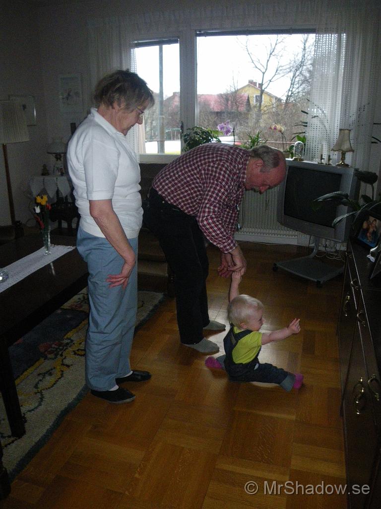 IMGP7626.JPG
