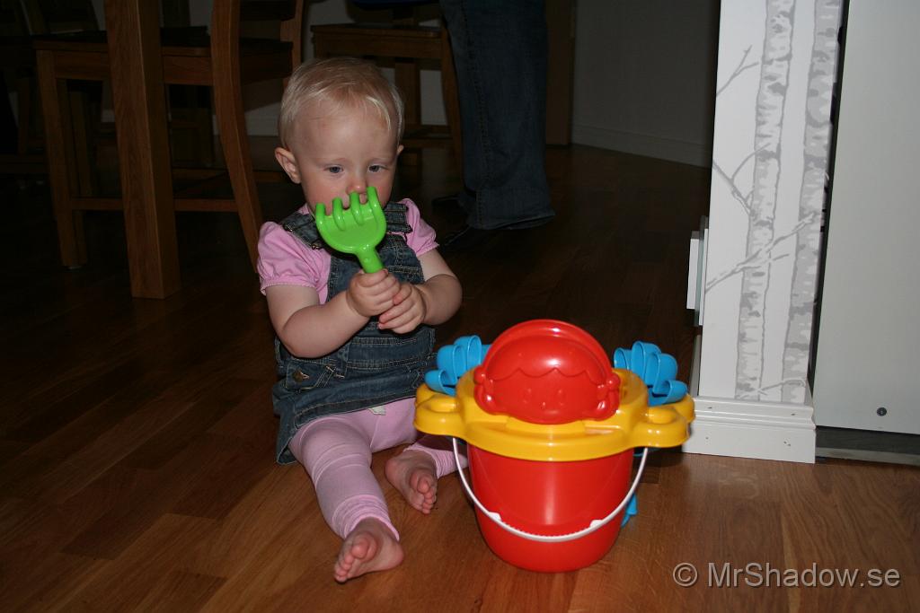 IMG_4982.JPG