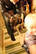 IMG_5447