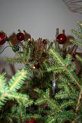 IMG_5458