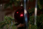 IMG_5459