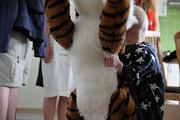 IMG_0822