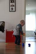 IMG_2806