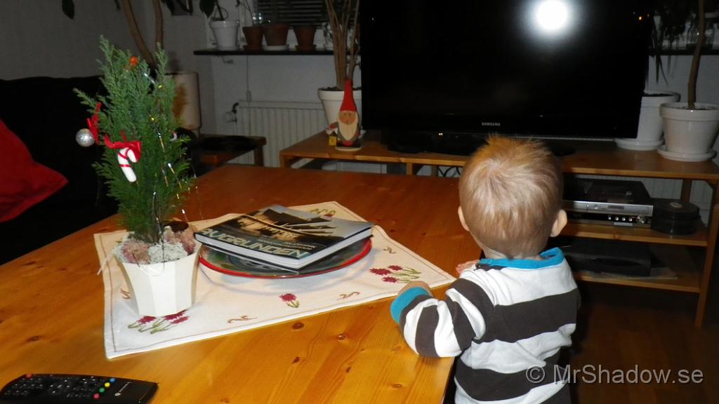 IMGP0227.JPG