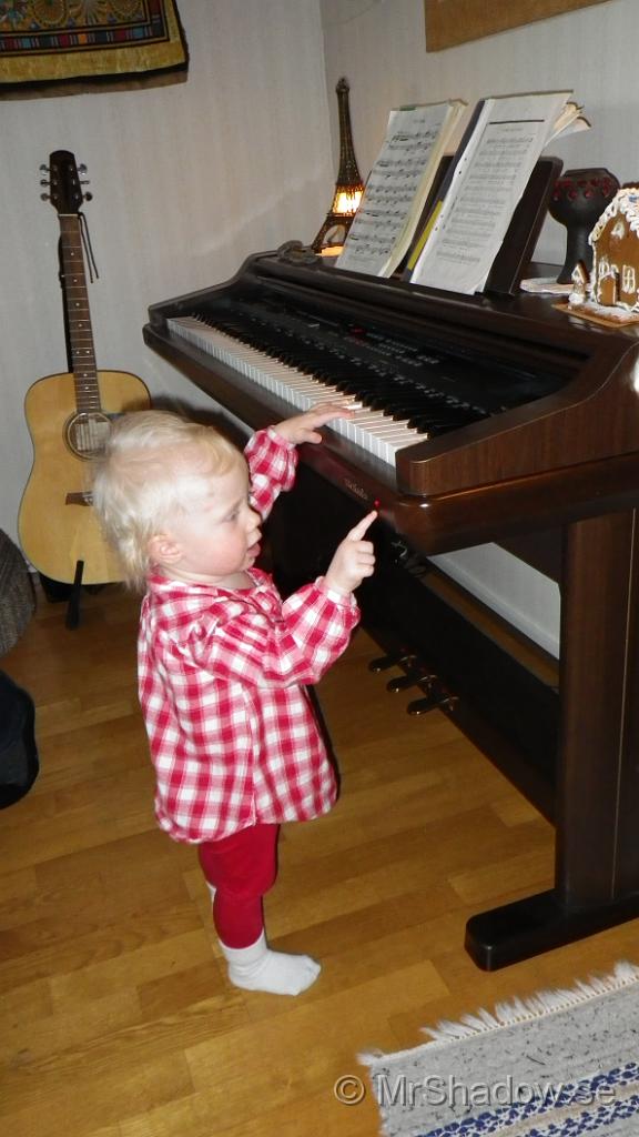 IMGP0288.jpg