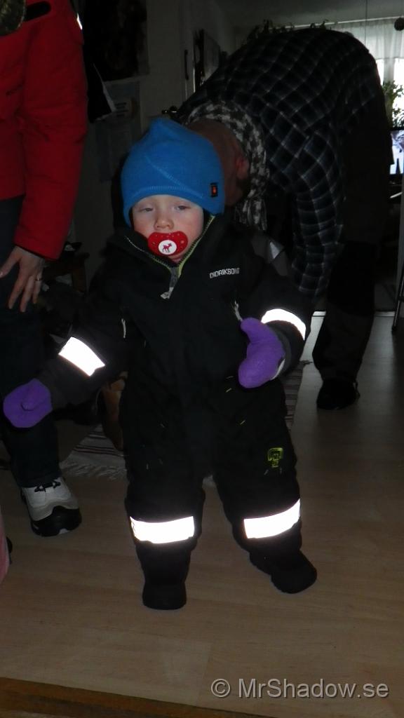 IMGP0294.jpg
