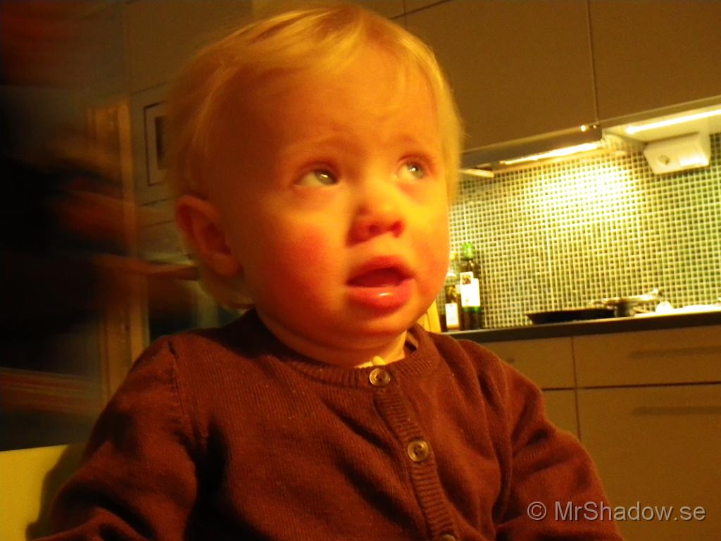 IMGP0372.JPG