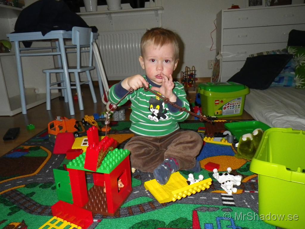 IMGP0376.JPG
