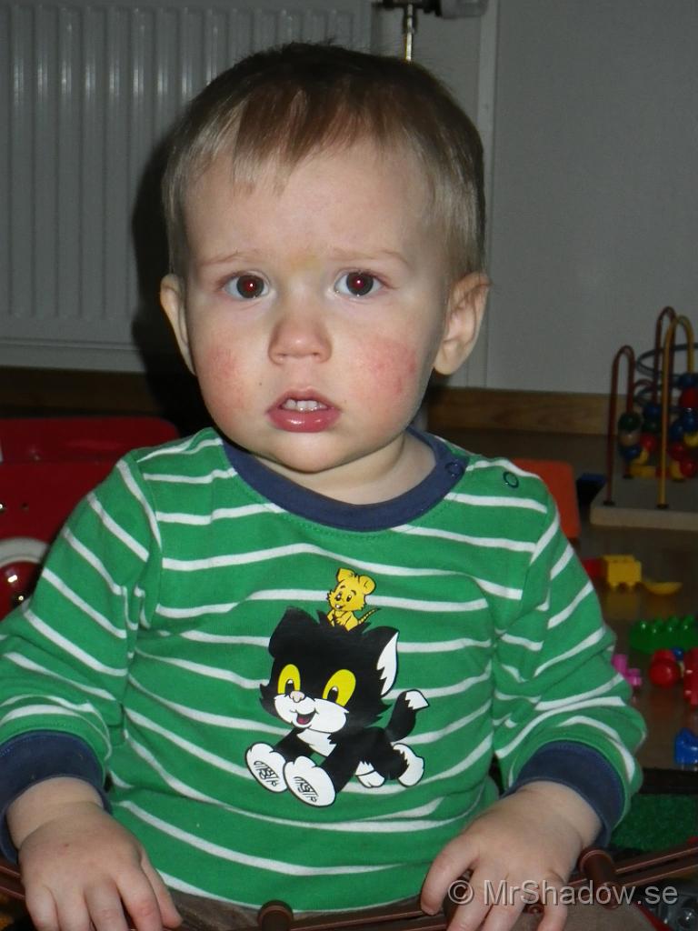 IMGP0377.JPG