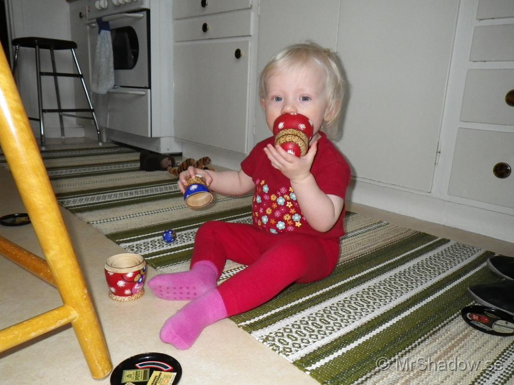 IMGP0379.JPG