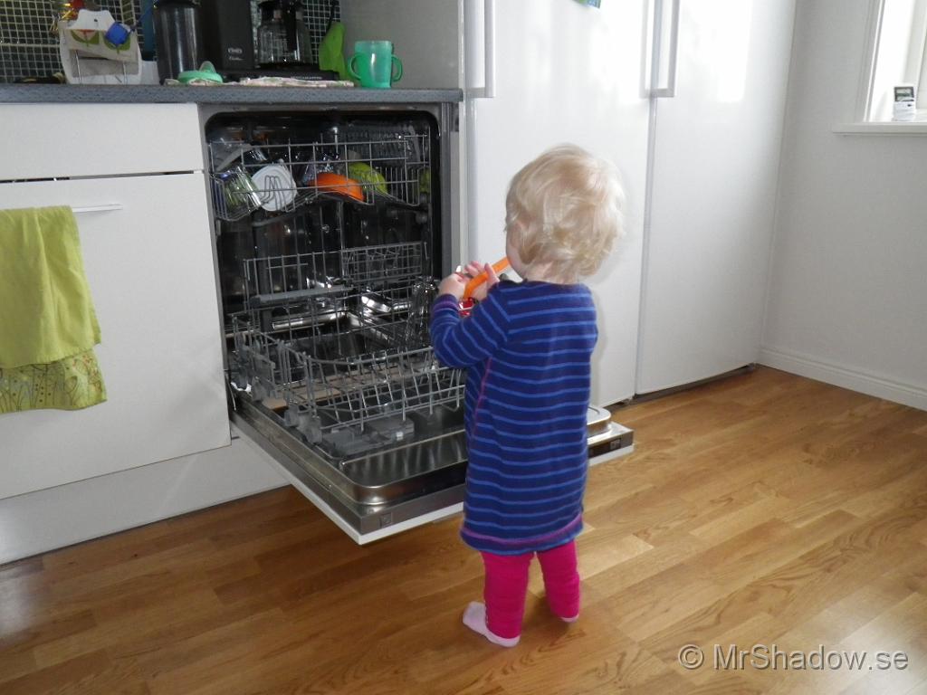 IMGP0415.JPG