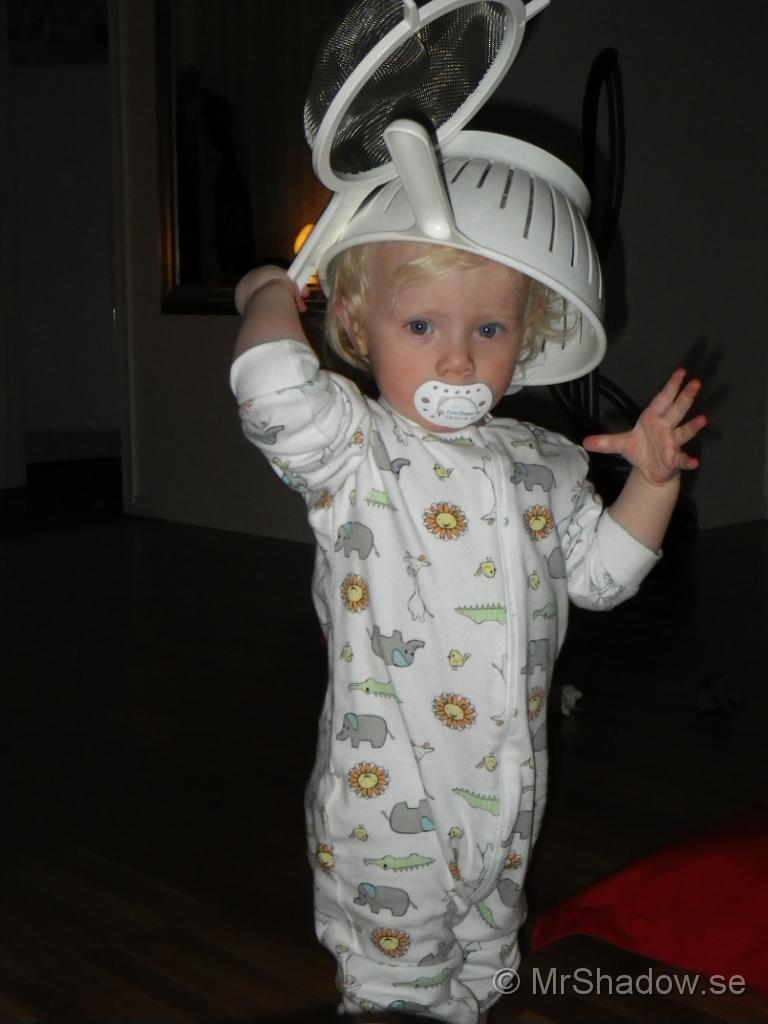 IMGP0460.JPG
