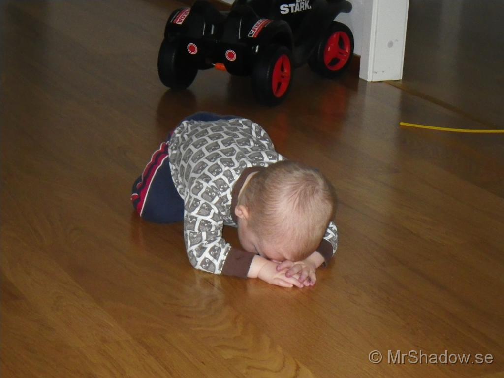 IMGP0466.JPG
