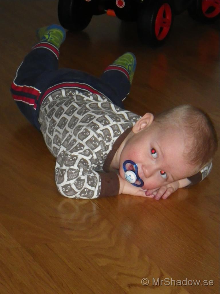 IMGP0467.JPG