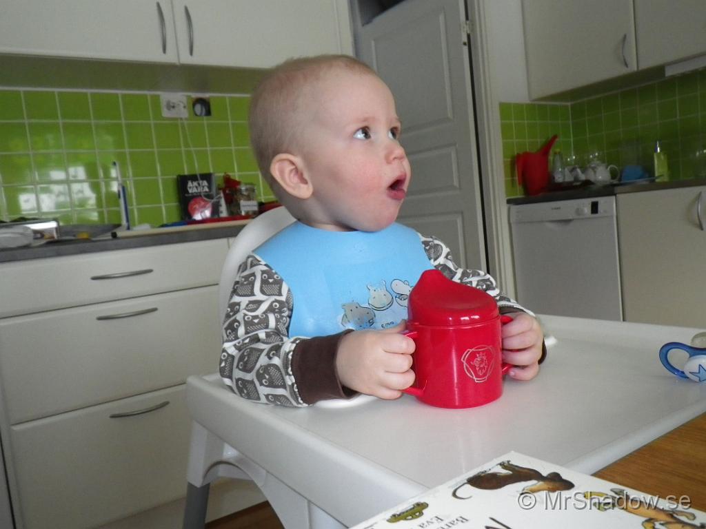 IMGP0468.JPG