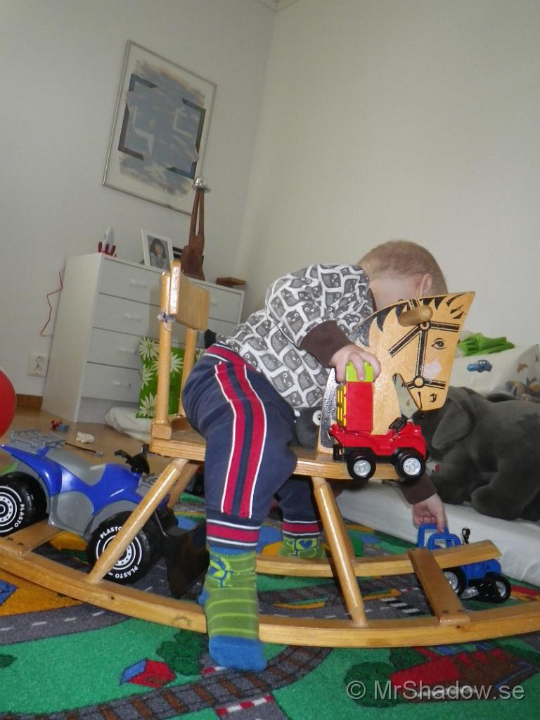 IMGP0477.JPG