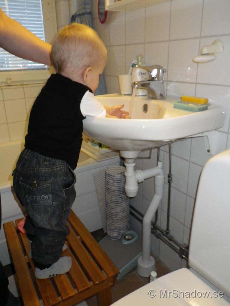 IMGP0483.JPG