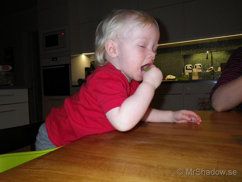 IMGP0494.JPG