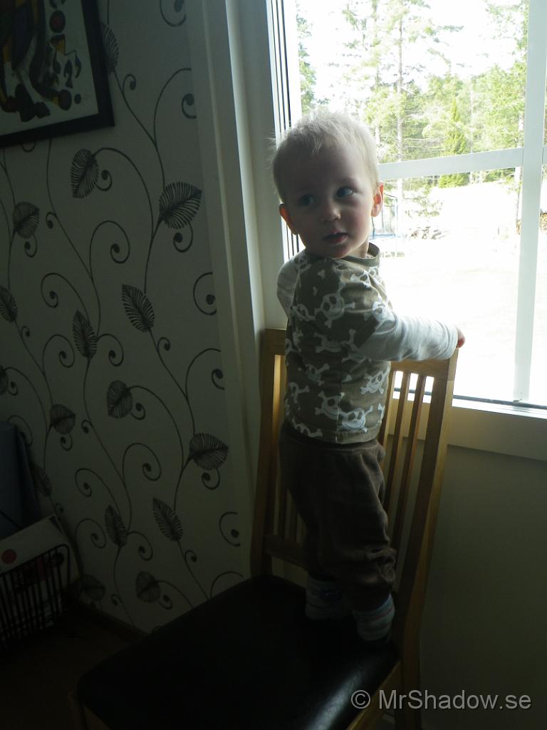 IMGP0733.jpg
