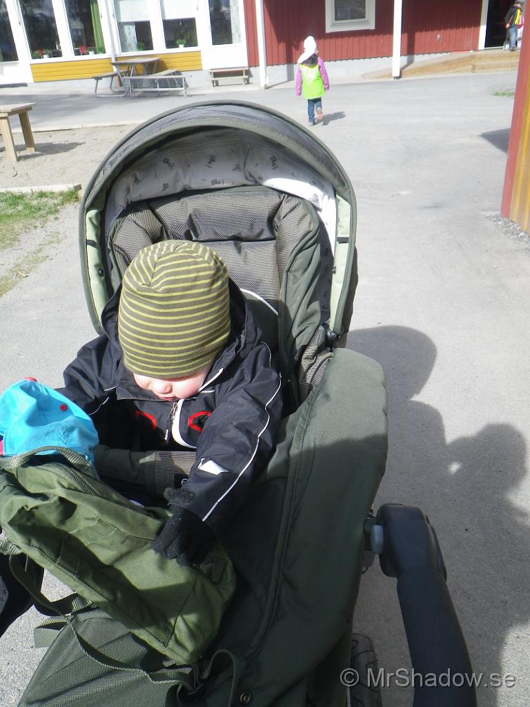 IMGP0795.jpg