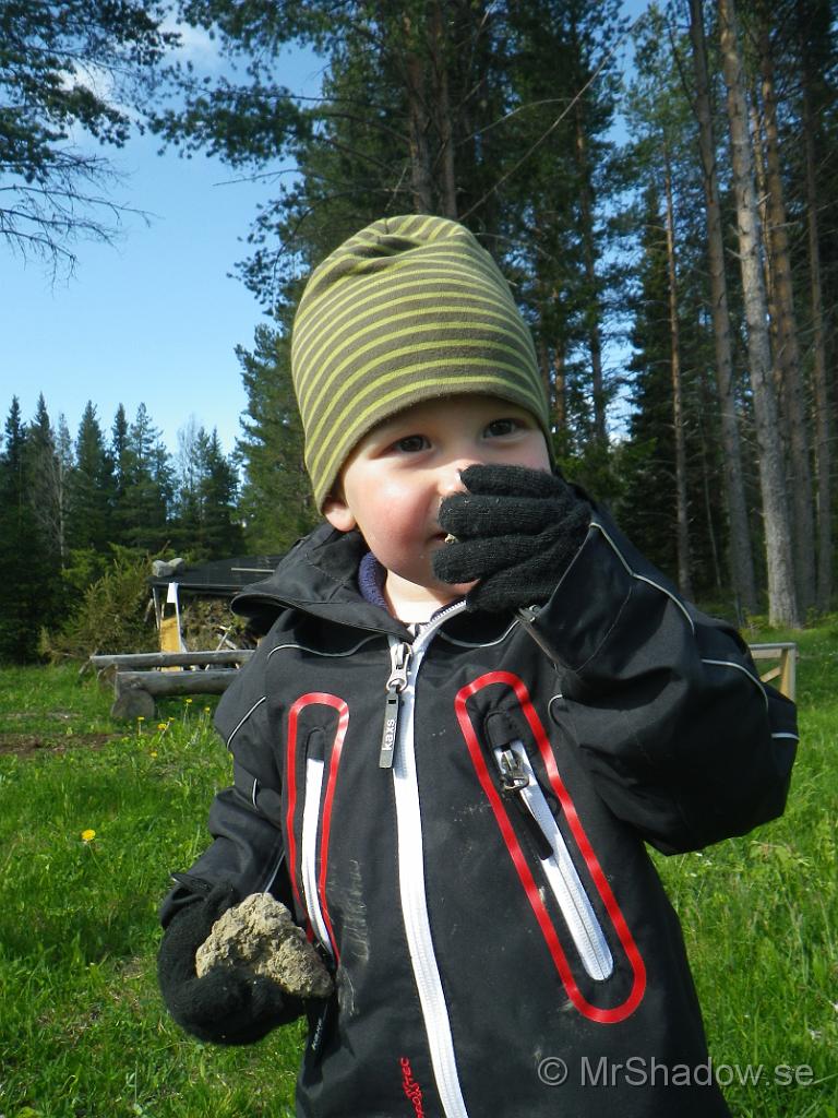 IMGP0799.jpg