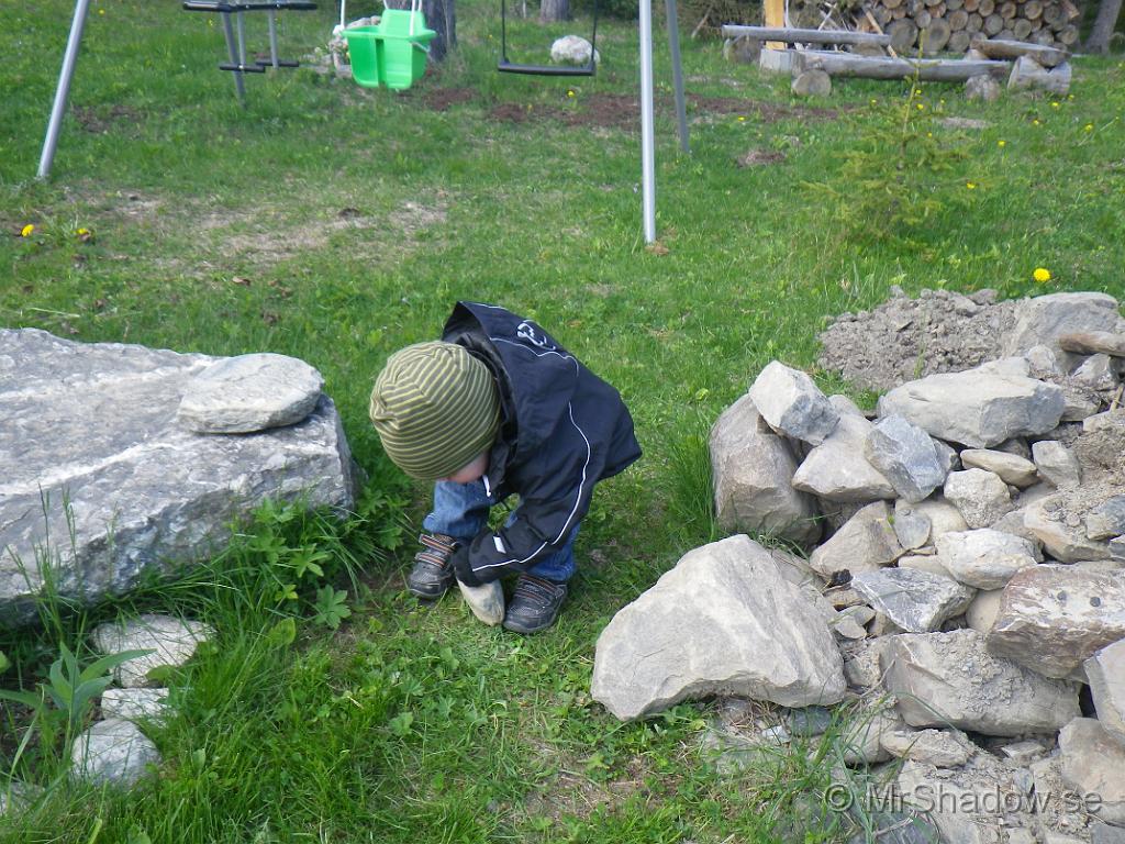 IMGP0802.JPG