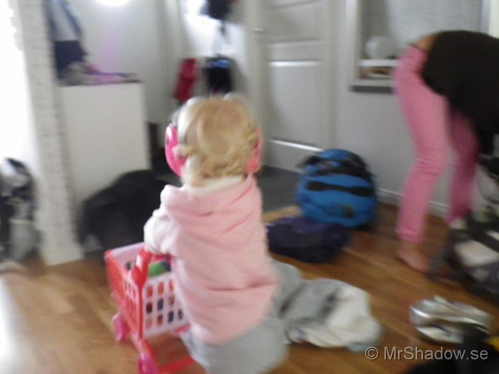 IMGP0908.JPG