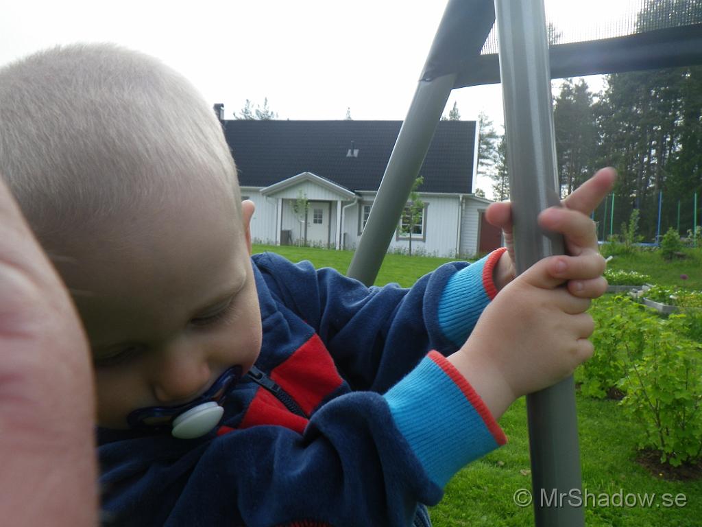 IMGP0986.JPG
