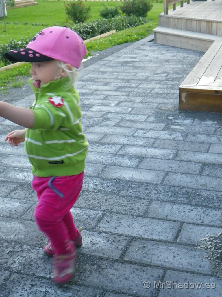 IMGP1329.jpg