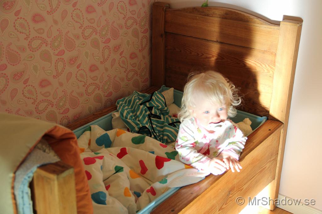 IMG_0041.JPG