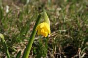 IMG_5631