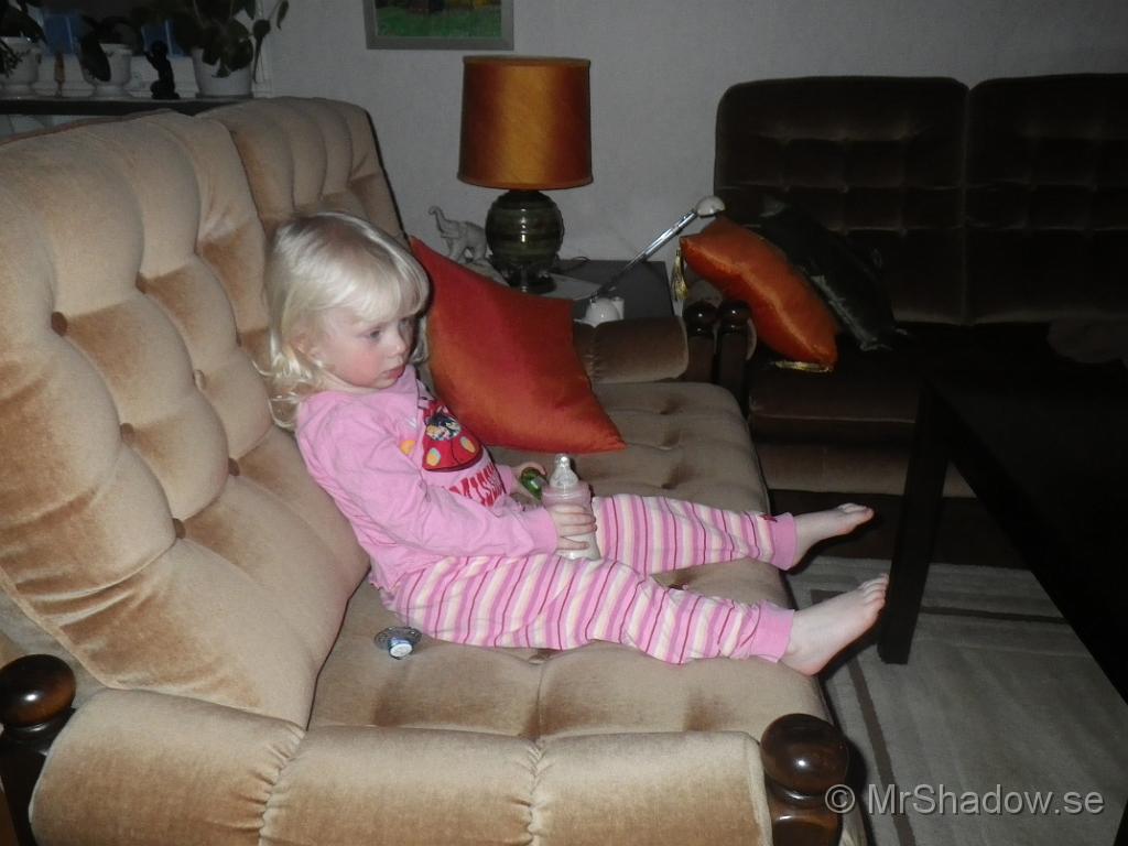 IMGP1985.JPG