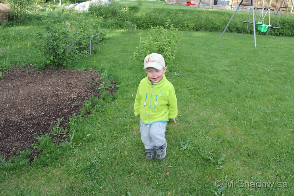 IMG_4598.JPG