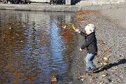 IMG_6970