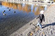 IMG_6978