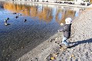 IMG_6979